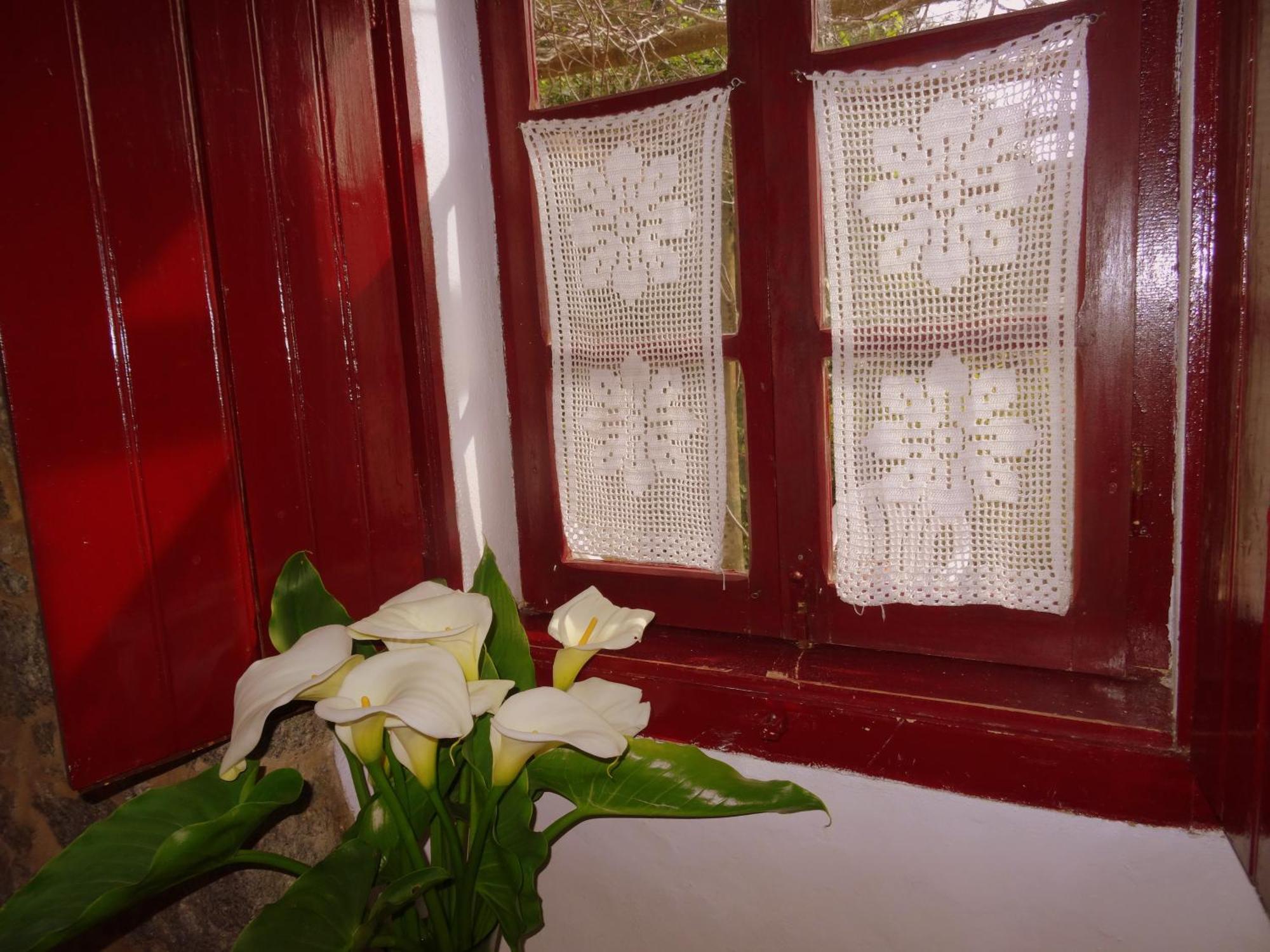 My Room - Villa Vina - Ter Мончик Стая снимка